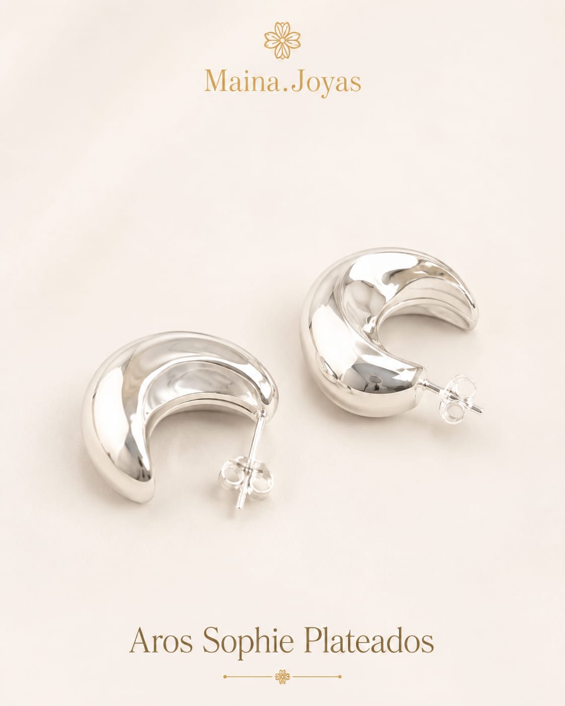 Aros Sophie Plateados ✨