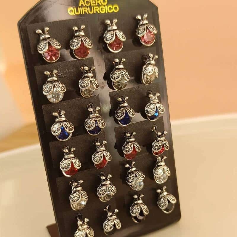 Aros Vaquita de San Antonio 🐞